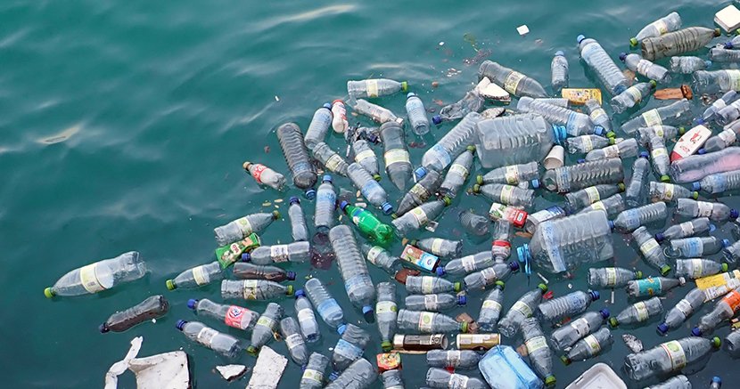 The End Of Plastic? New Plant-Based Bottles